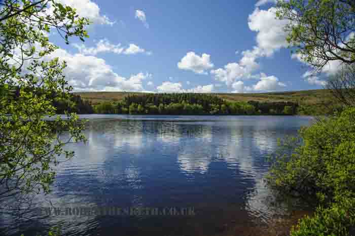 VENFORD RESERVOIR edit low res ROBERT HESKETH 4 NEF
